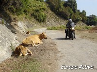 retour-moto-corse